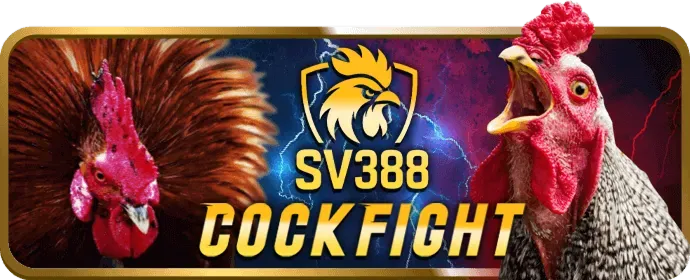 Thưởng nạp lại hàng tuần cho thành viên 98bet